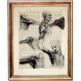 10 Different Anatomical Da Vinci Sketches Dictionary Art Print 5x7