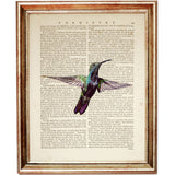 Avian Flyer Vintage Dictionary Print