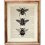 Black and White Vertical Print of Three Bees - Dictionary Art