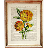 Botanical Marigold Artwork