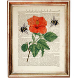 Blooming Red Flower with Bees Dictionary Art Print