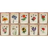 Botanical Prints Set of 10 - Botanical Wall Art Collection with Sunflower Print