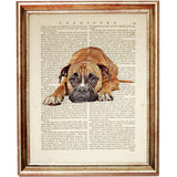 Relaxed Boxer Dog Wall Decor