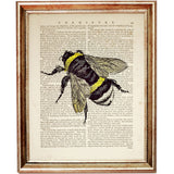 Busy Bee Dictionary Page
