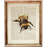 Detailed Bee Illustration Wall Decor