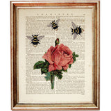 Botanical Beauty with Bees Art Print