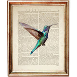 Aerial Bird Art Print for Sale