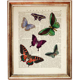 Elegant Butterfly Wings Dictionary Print