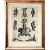 Set of 6 Anatomy Dictionary Art Prints, Get to the Heart of the Matter