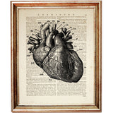 anatomical illustration of the human heart with detailed labels, printed on an antique dictionary page art