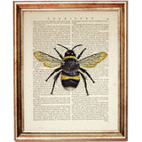 Bumble Bee Dictionary Art Print Poster 5x7
