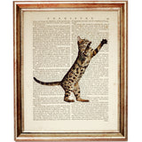 Illustration of a Bengal cat playfully reaching up, printed over a vintage book page