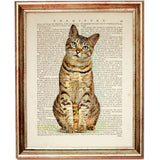 Bengal cat sitting and facing forward, printed on a vintage dictionary page