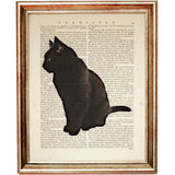 Black cat sitting in profile view, vintage-style silhouette illustration on an antique book page