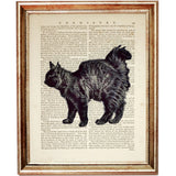 Illustration of a long-haired black cat walking, printed over a vintage book page in a wooden frame