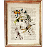 Bunch of Dragonflies Dictionary Art Print - Nature-Inspired Wall Decor