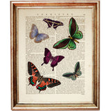 Set of 8 Colorful Butterflies Dictionary Art Prints, Nature Wall Decor
