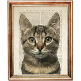 Vintage Cat Portrait Art