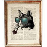 Retro cat wearing teal sunglasses and smoking a pipe, printed over vintage dictionary book page