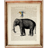 Black and white elephant with colorful hummingbird on its back, vintage animal illustration on book page