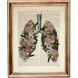 Lungs anatomy illustration with pink flowers and green leaves over a vintage dictionary page