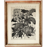 Set of 8 Flower Dictionary Art Prints, Monochromatic Blooms Poster