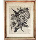 Set of 8 Flower Dictionary Art Prints, Monochromatic Blooms Poster