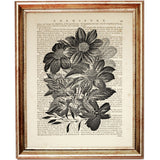 Set of 8 Flower Dictionary Art Prints, Monochromatic Blooms Poster