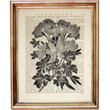 Set of 8 Flower Dictionary Art Prints, Monochromatic Blooms Poster