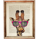 Zebra with Pink Sunglasses Animal Portraits Set of 8 Dictionary Art Prints