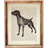 Standing German Pointer Dictionary Artwork