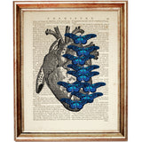 Art print featuring anatomical heart and cluster of blue butterflies, overlaid on an antique dictionary page for romantic scientific decor