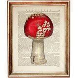 Set of 6 Mushroom Dictionary Art Prints, Fungi Fanatics Kitchen Wall Decor