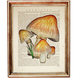 Set of 6 Mushroom Dictionary Art Prints, Fungi Fanatics Kitchen Wall Decor