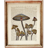 Set of 6 Mushroom Dictionary Art Prints, Fungi Fanatics Kitchen Wall Decor