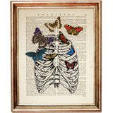 rib cage anatomy print with vibrant butterflies, overlaid on a vintage dictionary page science decor