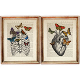 Set of 2 framed anatomical art prints featuring a heart and rib cage with butterflies, printed on vintage dictionary book pages