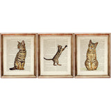 Set of three Bengal cat prints in various poses, illustrated over vintage book pages