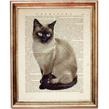 Siamese Feline Portrait Art Print