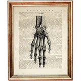 skeletal hand illustration on dictionary background