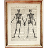 Skeleton couple holding hands vintage anatomy print