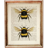 Bumblebee Duo Illustration Wall Decor