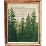 Forest Wall Art Set of 3, Pine Nature Dictionary Art Prints 8x10