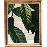 Set of 3 Palm Leaf Botanical Dictionary Art Prints - Greenery Wall Decor