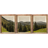Set of 3 Forest Dictionary Art Prints, Wall Decor with Landscape, Trees, and Nature