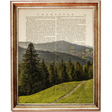 Set of 3 Forest Dictionary Art Prints, Wall Decor with Landscape, Trees, and Nature