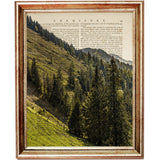 Set of 3 Forest Dictionary Art Prints, Wall Decor with Landscape, Trees, and Nature