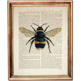 Set of 3 Botanical Wall Decor, Lavender, Sunflower, Bee Dictionary Art Print