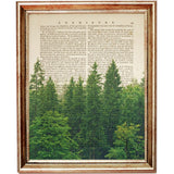 Forest Wall Art Set of 3, Pine Nature Dictionary Art Prints 8x10