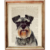 Miniature Schnauzer Poster, Dog Dictionary Art Prints Set